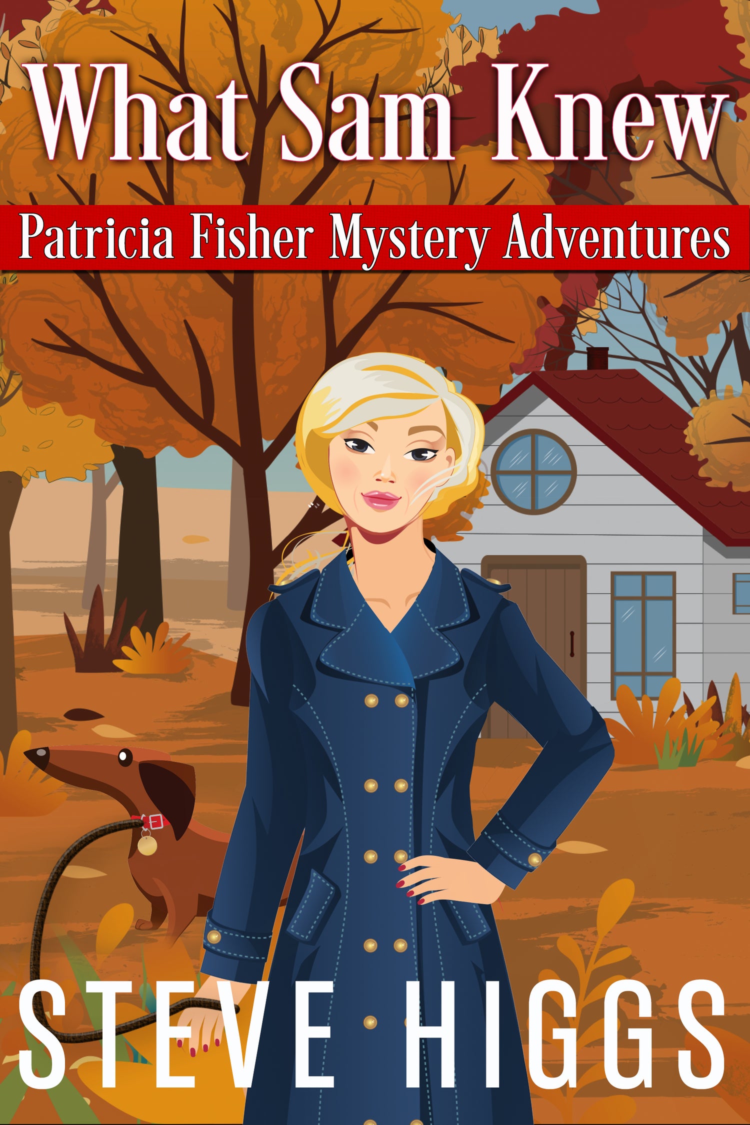 Patricia Fisher Mysteries Bundle